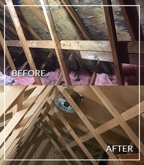 Asbestos Abatement