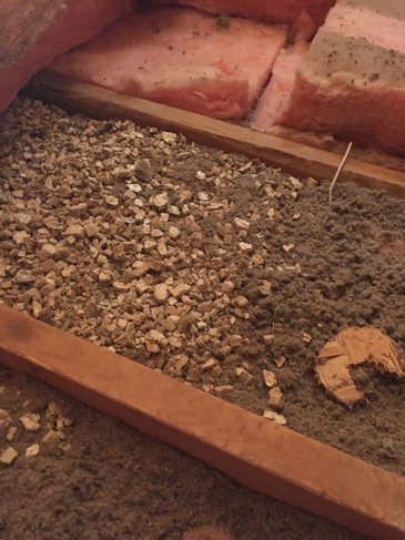 Attic vermiculite